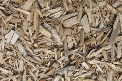 biomass boilers Hollinsgreen